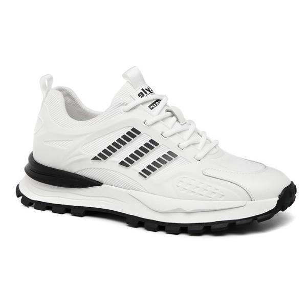 Giày tăng 8cm thể thao nam HQ6113