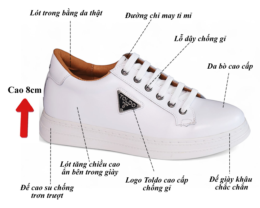 Giày cao thể thao 8cm cho nam màu trắng