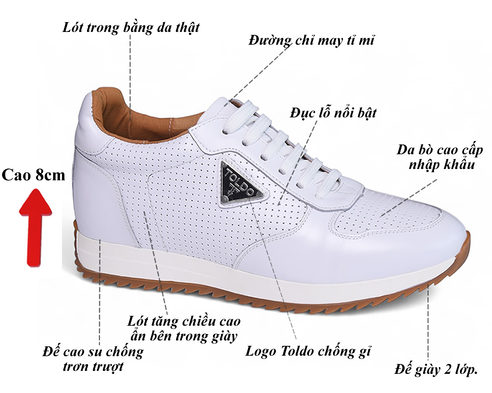 Giày nam tăng 8cm thể thao cao cấp